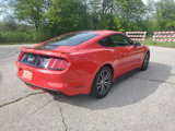 Used 2015 Ford Mustang GT image 6