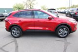 Used 2025 Ford Escape ST-Line Select image 5