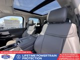 New 2025 Ford Expedition Active image 3