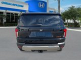 New 2026 Honda Passport TrailSport image 4