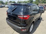 Used 2020 Ford EcoSport SE w/ SE Convenience Package image 4