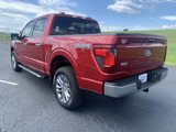 New 2024 Ford F150 XLT w/ Equipment Group 302A MID image 3