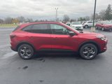 New 2025 Ford Escape ST-Line w/ Tech Pack #1 image 5