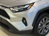 Certified 2023 Toyota RAV4 XLE Premium image 5