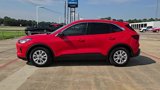 Used 2024 Ford Escape Active image 5