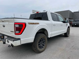 Used 2023 Ford F150 Tremor w/ Equipment Group 402A High image 5