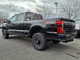 New 2025 Ford F250 Platinum image 4