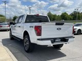 Used 2024 Ford F150 STX image 5