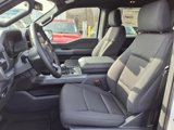 New 2025 Ford F150 XLT w/ Equipment Group 302A MID image 4