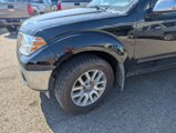 Used 2012 Nissan Frontier SL w/ Moonroof Pkg image 5