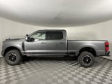 New 2025 Ford F250 Platinum image 6