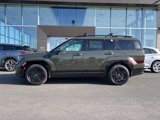 New 2025 Hyundai Santa Fe Calligraphy image 4