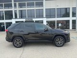 Used 2023 Toyota RAV4 XLE Premium image 4