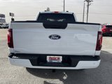 Used 2025 Ford F150 STX w/ Equipment Group 200A image 5