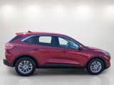 Used 2020 Ford Escape SE image 4