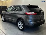 Used 2022 Ford Edge SE w/ Cargo Accessory Package image 4