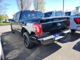 New 2025 Ford F150 XLT w/ Equipment Group 302A MID image 4