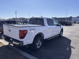 New 2025 Ford F150 XLT w/ Equipment Group 302A MID image 4
