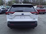 Used 2024 Toyota RAV4 XLE Premium w/ Weather Package image 4
