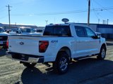 New 2025 Ford F150 XLT w/ Equipment Group 302A MID image 2