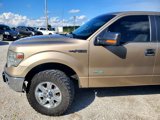 Used 2014 Ford F150 XLT w/ Equipment Group 302A Luxury image 3