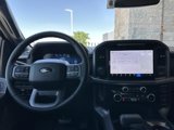 New 2025 Ford F150 XLT w/ Equipment Group 303A High image 5