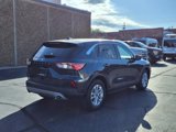 Used 2022 Ford Escape SE w/ Cold Weather Package image 2
