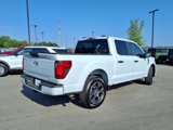 Used 2025 Ford F150 STX w/ Equipment Group 200A image 3
