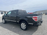 Used 2014 Ford F150 Platinum image 3