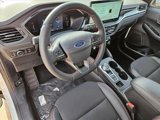 New 2025 Ford Escape ST-Line Select w/ Tech Pack #1 image 3