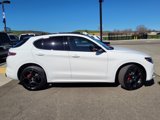 New 2025 Alfa Romeo Stelvio Tributo Italiano w/ Active Assist Plus Package image 4