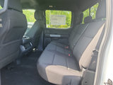 New 2025 Ford F150 XLT w/ Equipment Group 302A MID image 6