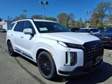 New 2025 Hyundai Palisade Calligraphy image 5