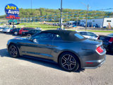 Used 2018 Ford Mustang Premium w/ Equipment Group 201A image 3