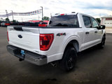 Used 2023 Ford F150 XLT w/ Equipment Group 301A Mid image 4