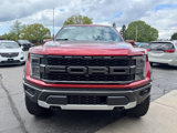 Used 2023 Ford F150 Raptor image 6