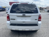 Used 2010 Ford Escape XLT image 2