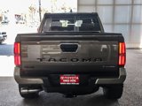 New 2025 Toyota Tacoma TRD Off-Road image 5