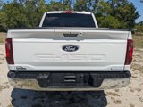 Used 2024 Ford F150 XLT w/ Equipment Group 302A MID image 5