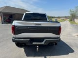 Used 2017 Ford F150 Raptor w/ Equipment Group 802A Luxury image 5