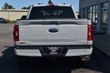 Used 2023 Ford F150 XLT w/ Equipment Group 302A High image 5