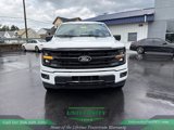 New 2025 Ford F150 XLT w/ Equipment Group 302A MID image 2