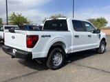 New 2025 Ford F150 XL image 5
