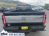 Used 2025 Ford F450 Platinum image 4