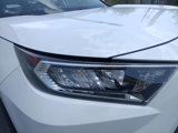Used 2019 Toyota RAV4 XLE w/ Convenience Package image 4
