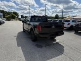 New 2025 Ford F150 XLT image 3