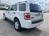 Used 2010 Ford Escape XLT image 5