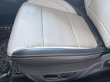 New 2025 Ford Mustang GT Premium w/ GT Performance Package image 6