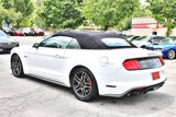 Used 2019 Ford Mustang GT Premium w/ Equipment Group 401A image 5