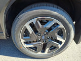 New 2025 Subaru Forester Limited image 5